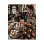 ONLYBIO Hair in Balance | Chocolate Brown | Hair Color Toner 100ml | Warm Brown Tone & Subtle Highlights | ONLYCHO