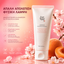Beauty of Joseon | Apricot Blossom | Gel Απολέπισης Προσώπου 100ml | Απαλή Απομάκρυνση Νεκρών Κυττάρων & Λεία Υφή | BOJABPG100