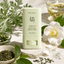 Beauty of Joseon | Matte Sun Stick Mugwort + Camellia SPF50+ PA++++ 18g | Matte Finish Oil Control Sun Protection | BOJMSSM