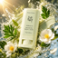 Beauty of Joseon | Matte Sun Stick Mugwort + Camellia SPF50+ PA++++ 18g | Matte Finish Oil Control Sun Protection | BOJMSSM