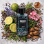 Mood | Wild Men Eau De Parfum Spray 100ml | DRE8070
