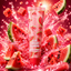 Sunkissed | Watermelon | Scrub Χειλιών (Lip Treat Scrub) 16ml | Απαλή Απολέπιση & Θρέψη Χειλιών | SU32576W